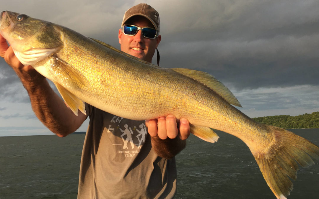 Hiring a Walleye Fishing Guide Improves your Outing