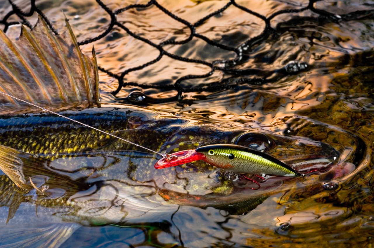 Fishing Gear for sale in Green Bay, Wisconsin