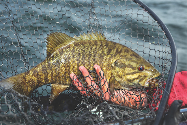 What Makes These Spots Great For Catching Smallmouth Bass In Door County?