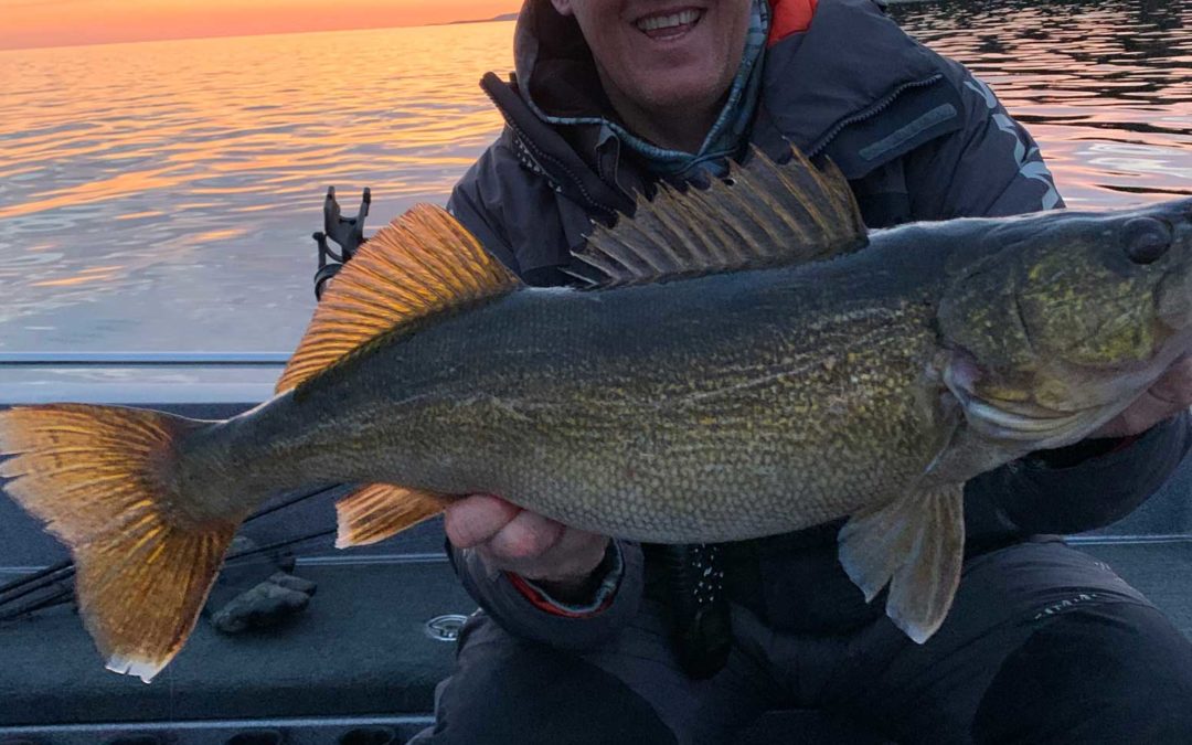 The Best Walleye Fishing In Wisconsin