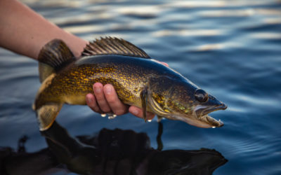Getting Your Wisconsin Fishing License