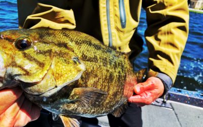What is a guided fishing trip?