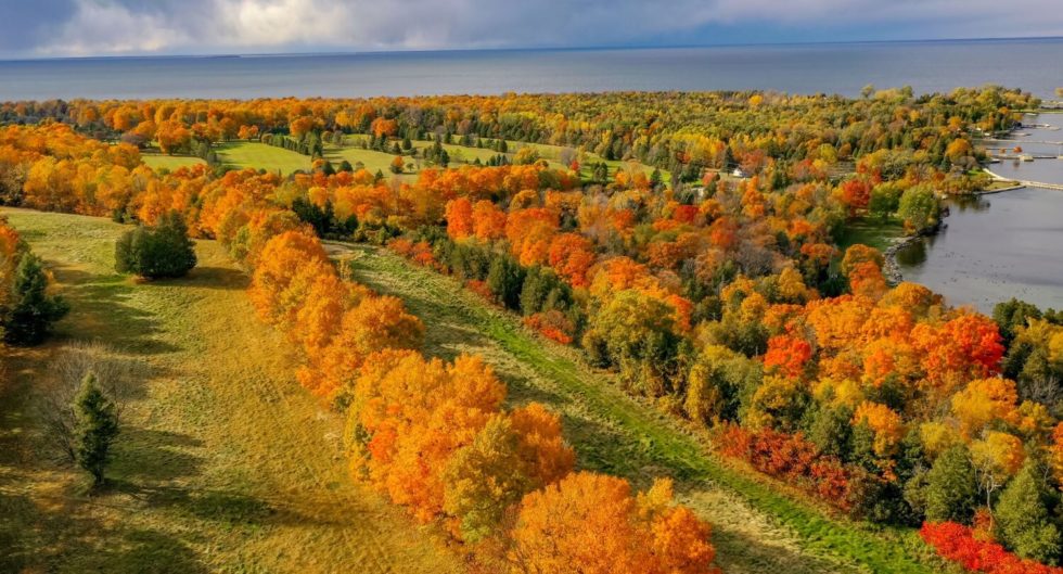 Top Things To Do In Sturgeon Bay, Wisconsin Green Bay Trophy Fishing