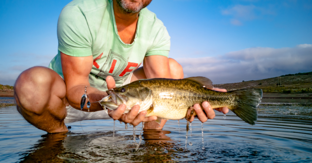 Motorcycle Camping / Fishing & How to Catch Big Largemouth Bass