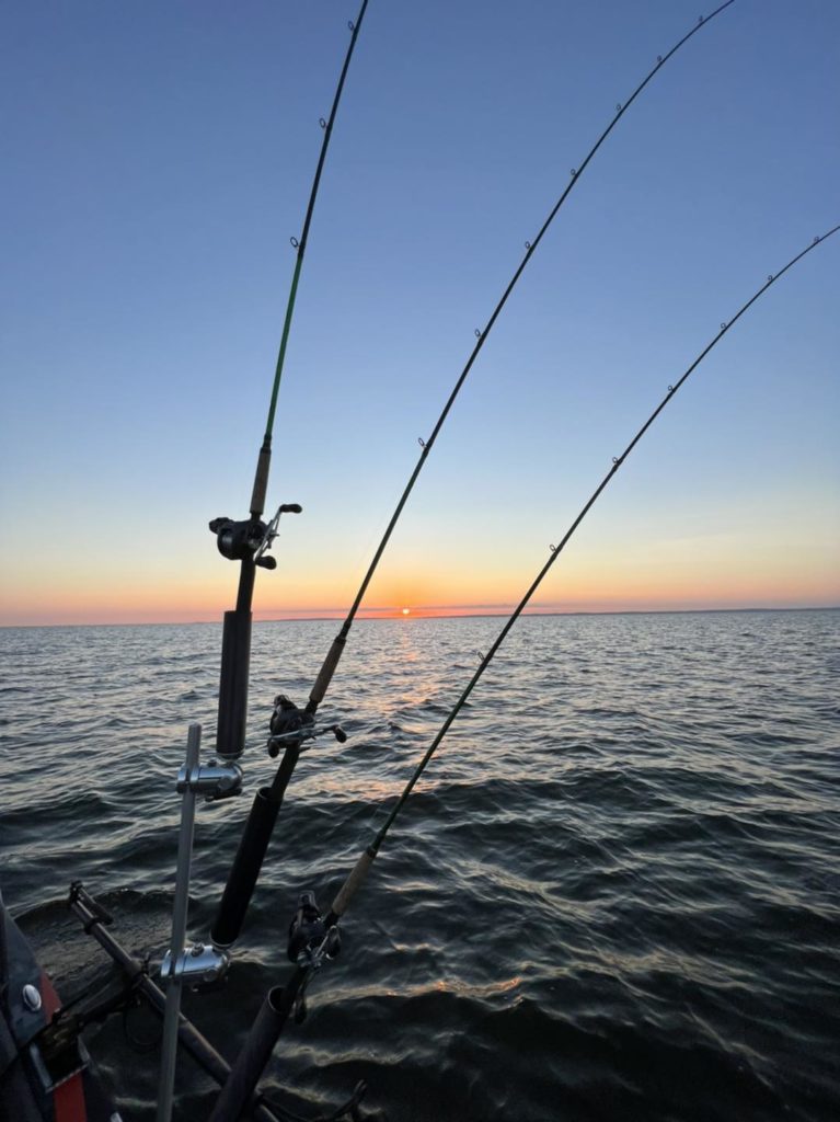 Best Walleye Rod And Reel Combo - Green Bay Trophy Fishing